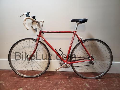 Schwinn Super Sport ficha-técnica e avaliações